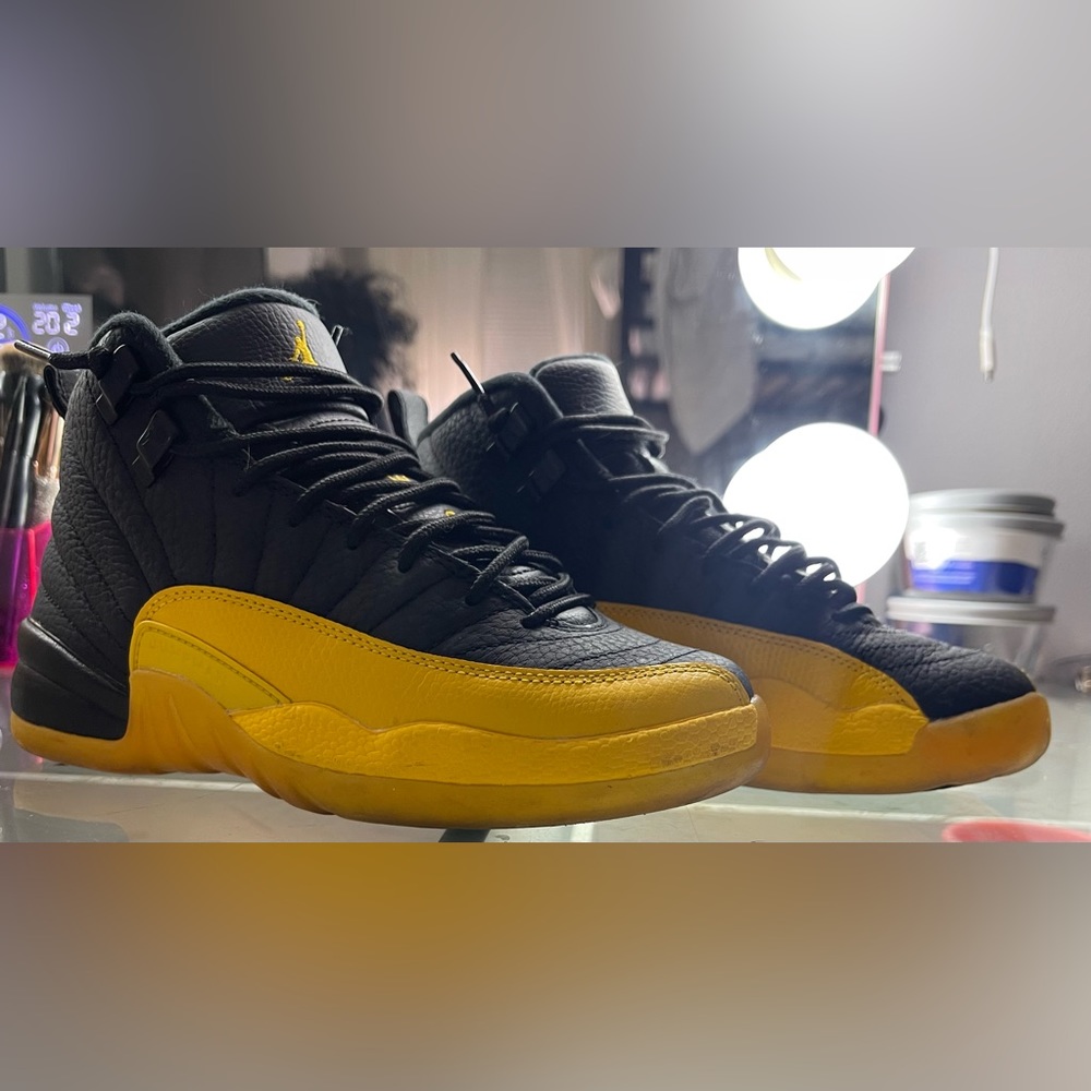 Air Jordan 12s